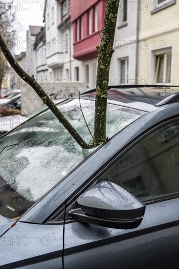 North Rhine-Westphalia, Germany, storm damage, a good 4 metre long branch was broken off by the