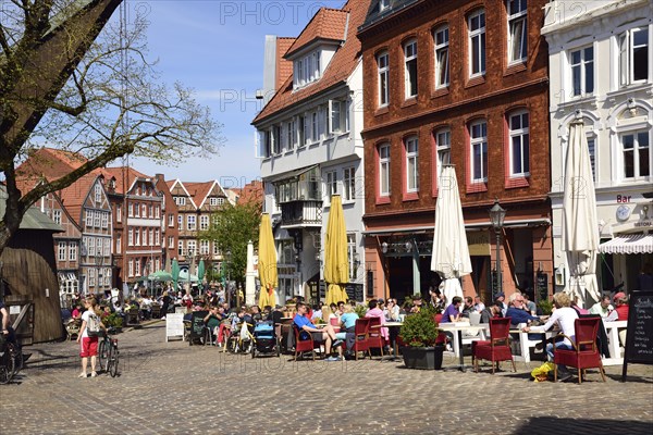 Europe, Germany, Lower Saxony, Stade, Hamburg Metropolitan Region, Hanseatic City, Hanseatic