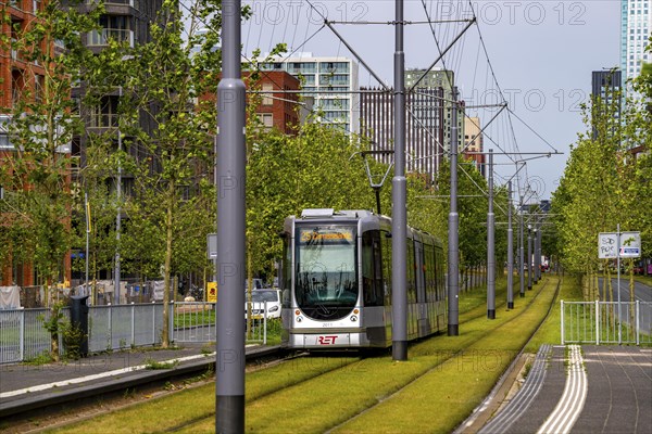Urban greening, inner-city street Laan op Zuid, in Rotterdam's Feijenoord district, 4 lanes, 2 tram
