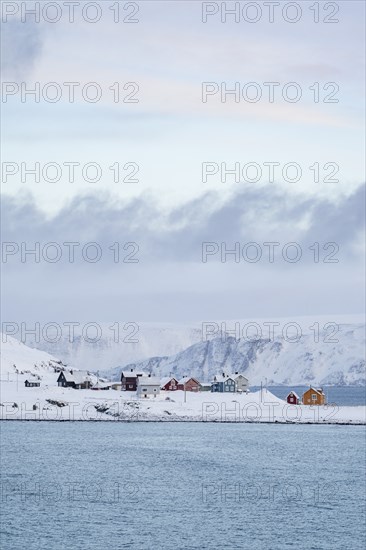 Colourful houses in a snowy landscape, fishing village Kongsfjord, Berlevåg, Varanger Peninsula,