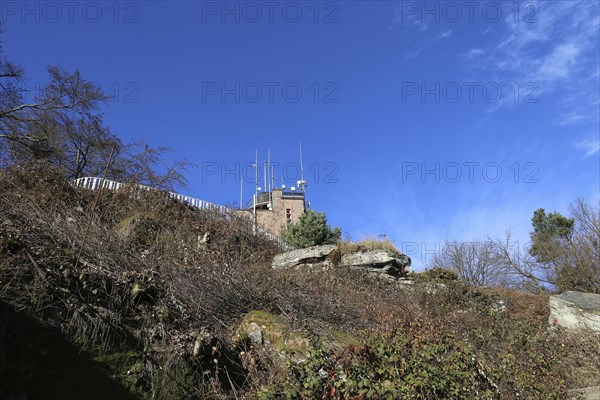 View of the summit of the Kalmit, the highest peak in the Palatinate Forest at 672 metres above sea