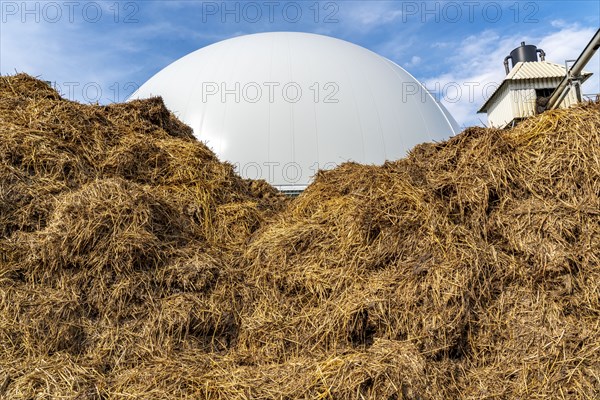 Biogas plant, gas storage, with dome, use of solid manure as energy source, storage area, on a farm