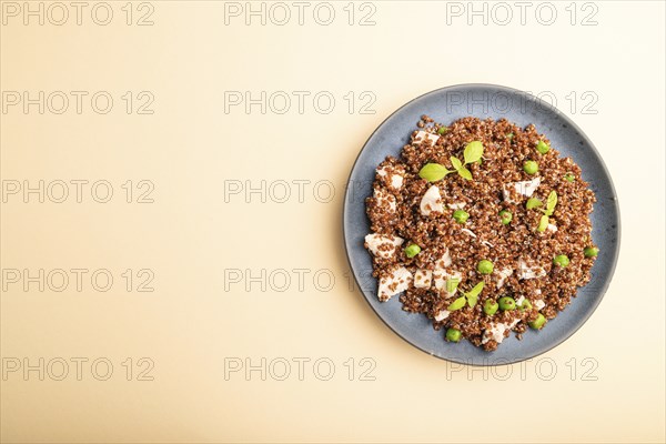Quinoa porridge with green pea and chicken on ceramic plate on a pastel orange background. Top