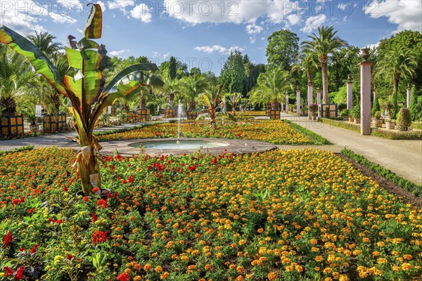 Palm garden in the spa gardens, the largest outdoor palm garden north of the Alps, spa town of Bad