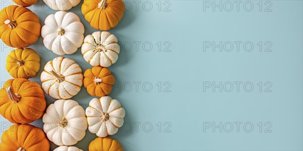 Banner with orange and white pumpkins on pastel blue background with copy space. Generative Ai, AI