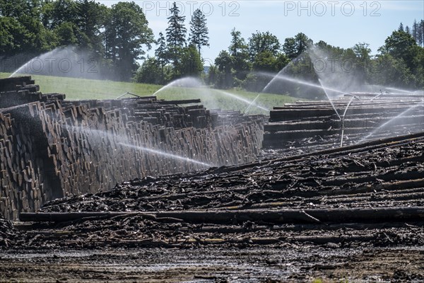 Wet wood storage of a sawmill, timber that is stored longer is sprinkled with water so that the