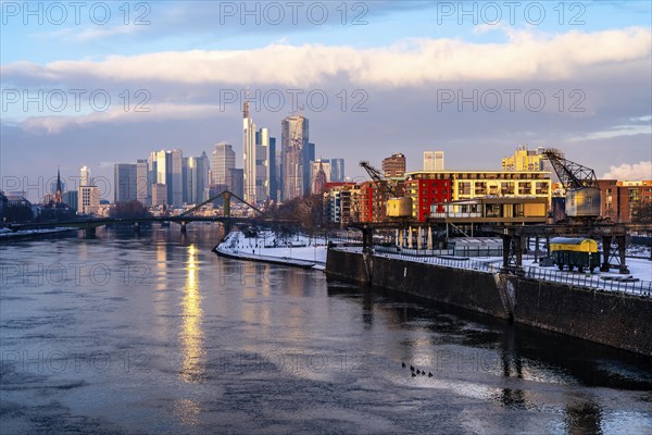 The skyline of Frankfurt am Main, skyscrapers of the banking district, historic harbour cranes at