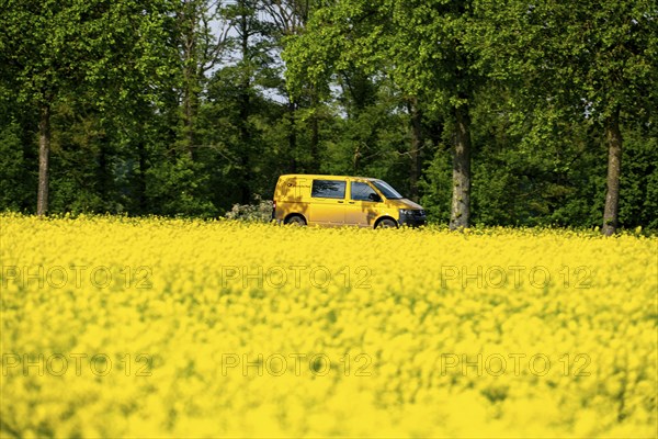 Landscape on the Lower Rhine, post van, postman by VW bus on the B57 federal road, between Xanten