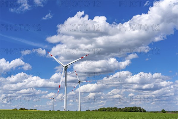 Wind farm, wind turbine, wind turbines from the manufacturer Enercon, blue sky with many white