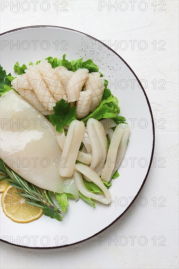 Fresh squid, raw, carcass, cut into rings, top view, no people