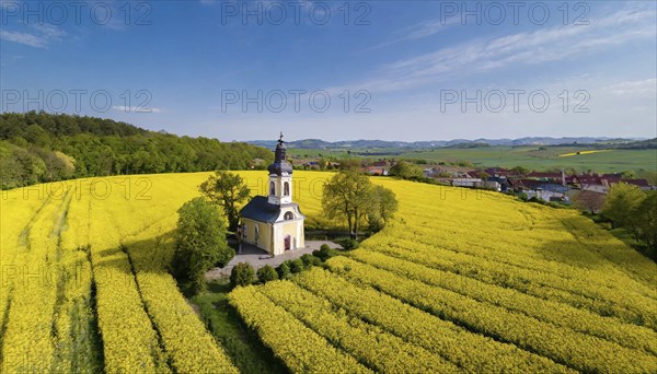 Agriculture, rape field, in full bloom, yellow, in it a small prayer chapel, aerial view, AI
