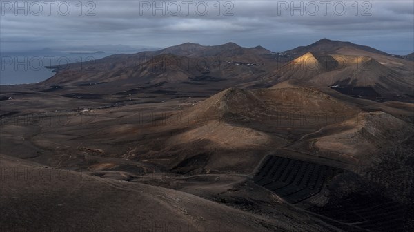 Volcanic landscape, aerial view, near Uga, Lanzarote, Canary Islands, Spain, Europe
