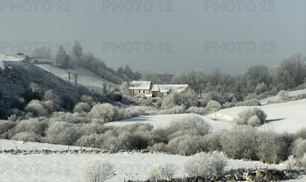 Aubrac plateau. Farm in winter. Lozere department. Occitanie. France