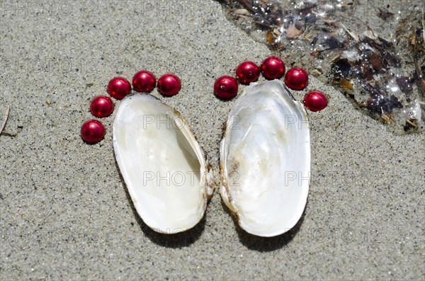 Footprints Made of Shells and Pearls in the Sand
