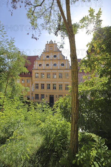 Baroque Alter Ebracher Hof with tail gable in backlight and tree trunk, green, Bamberg, Upper