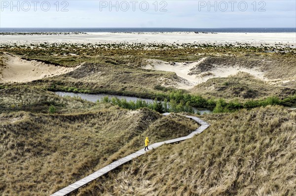 Woman with yellow rain jacket walking along a boardwalk in the dunes, Amrum Island, Wittdün,