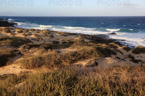 Coastal landscape sandy beach dunes, Corralejo, Fuerteventura, Canary Islands, Spain, Europe