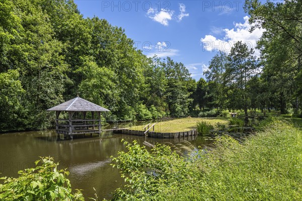 Monastery garden, park with water lily pond, Heiligkreuztal Monastery, Biberach district, Upper