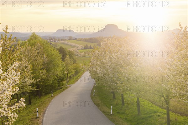 Spring in Saxon Switzerland, Altendorf, Saxony, Germany, Europe