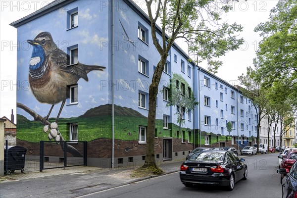 Residential buildings on Feldsieper Straße in Bochum, after an energy-efficient refurbishment, with