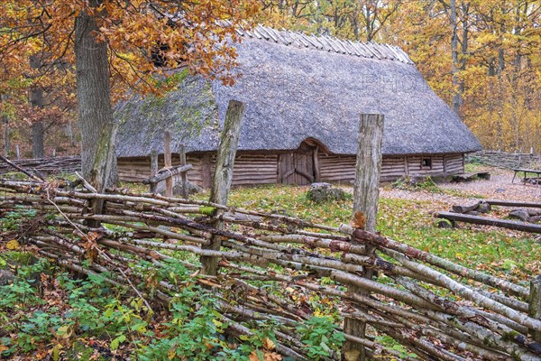 Fence of branches at a timbered longhouse in an oak forest with autumn colors, Åsarp, Sweden,
