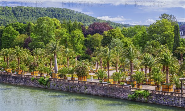 Castle moat with palm garden in the spa gardens, the largest outdoor palm garden north of the Alps,