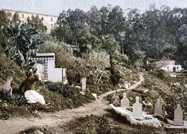 The cemetery, Algiers, Algeria, ca 1890, Historical, digitally restored reproduction from a 19th