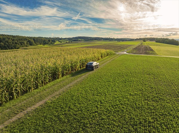 Black car driving on a rural country lane along a large cornfield under a mostly clear sky,