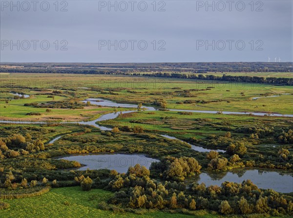 The Warta Estuary National Park, Park Narodowy Ujscie Warty, where the Warta flows into the Oder.
