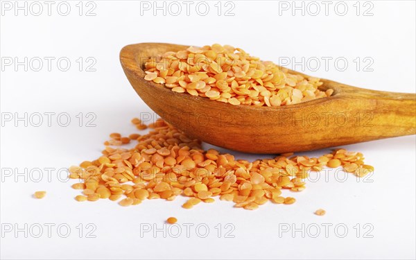 Pile of red lentils in a wooden spoon isolated on white background. Closeup