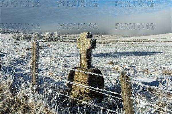 Aubrac plateau in winter. Stone cross at the side of a path. Lozere department. Occitanie. France
