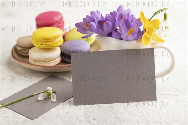 Gray paper business card mockup with spring snowdrop crocus flowers and multicolored macaroons on