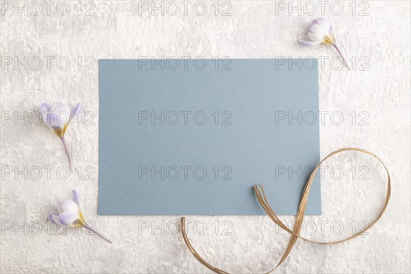 Blue paper sheet mockup with spring snowdrop crocus flowers on gray concrete background. Blank,