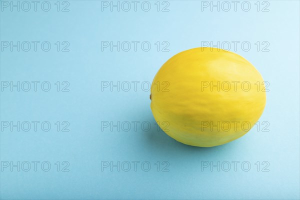 Ripe yellow melon on blue pastel background. Side view, copy space. harvest, healthy, vegan food,