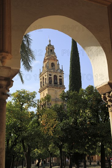 Cathedral belfry bell tower, Toree del Laminar, Great Mosque, Cordoba, Spain, Europe