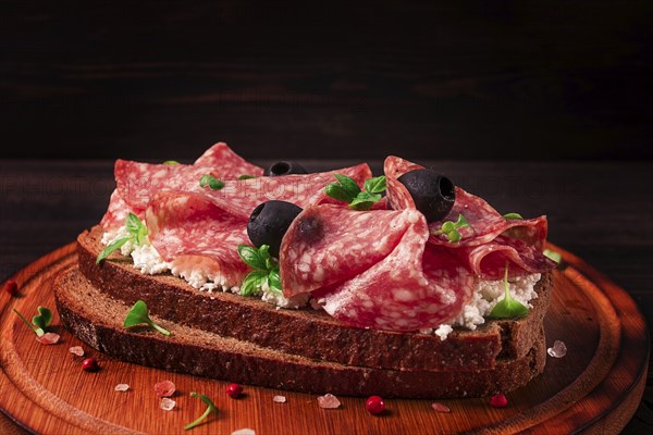 Sandwich, grain bread, with cream cheese and salami, black olives, micro-greens, top view,
