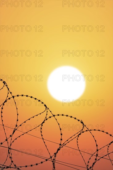 Symbolic image imprisonment, barbed wire fence in front of the sun, sunset, protective fence,