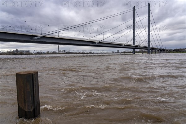 Rhine knee bridge, high water of the Rhine near Düsseldorf, North Rhine-Westphalia, Germany, Europe