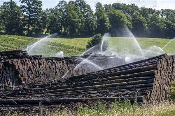 Wet wood storage of a sawmill, timber that is stored longer is sprinkled with water so that the