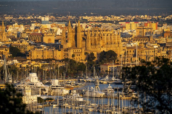 Panorama of Palma de Majorca, Bay of Palma, with the marina and the Cathedral of St Mary, Balearic