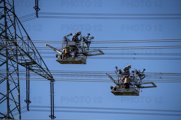 Construction of a new line route, 380 KV extra-high-voltage line between Osterath and Gohr, near