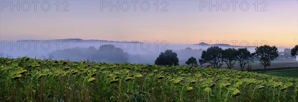 Morning fog over the Werra valley, from the Schlierbachsattel, Oberdünzenbach near Eschwege,