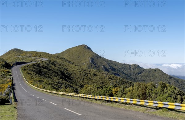 Road on the Paul da Serra plateau, Madeira, Portugal, Europe
