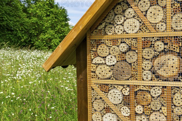 Insect hotel, wildflower meadow at the park cemetery in Essen, the city's largest cemetery, North