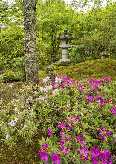 Tenryu Shiseizen-ji temple garden, Kyoto, Japan, Asia