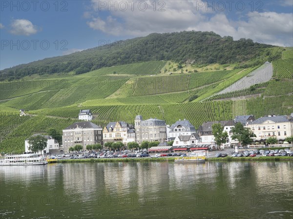 Bernkastel on the Moselle with vineyards, Bernkastel-Kues, Moselle, Rhineland-Palatinate, Germany,