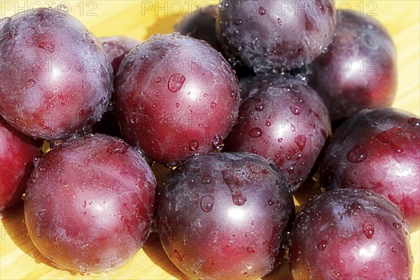 Plums, damsons