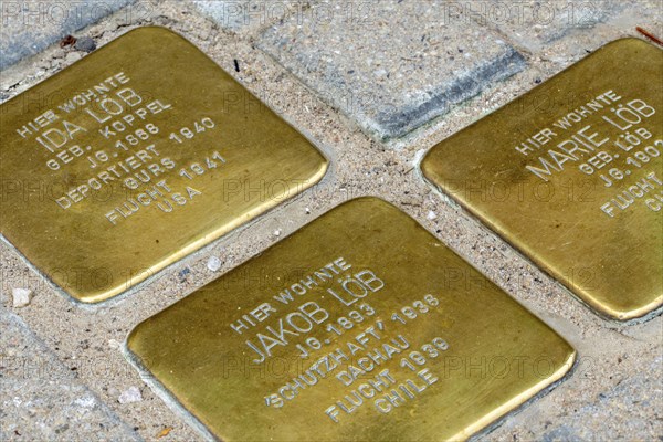 Stumbling stones in memory of Jewish citizens murdered or deported during the Nazi era
