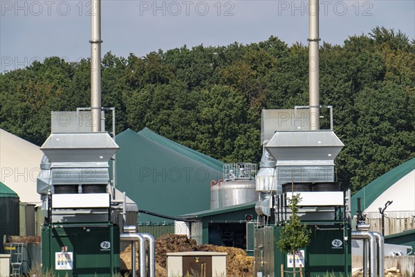 Biogas plant, combined heat and power plants, for power generation, dome-shaped gas storage