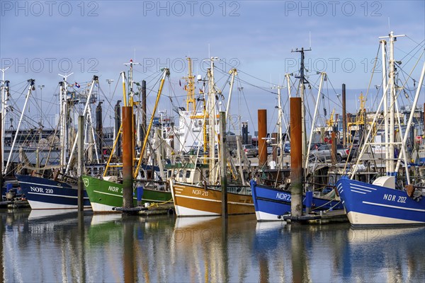 Fishing boats, shrimp boats in the harbour of Norddeich, Lower Saxony, Germany, Europe